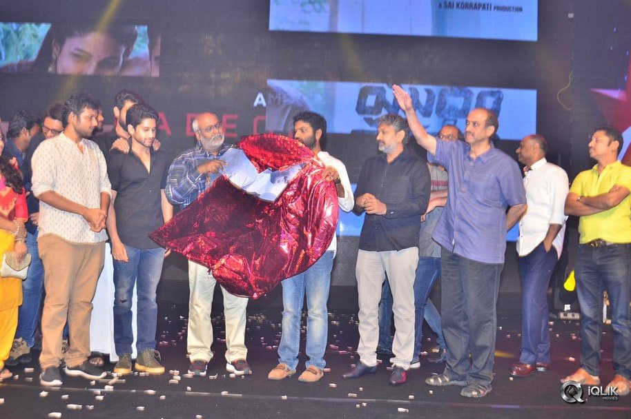 Yuddham-Sharanam-Movie-Audio-Launch